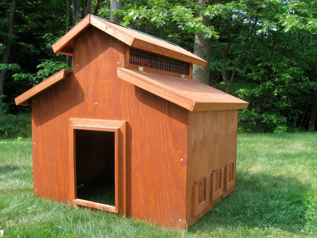 He Ordered Some&nbsp;Chickens