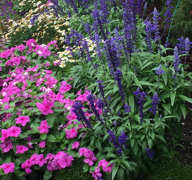 About the Sacrifice of&nbsp;Jesus